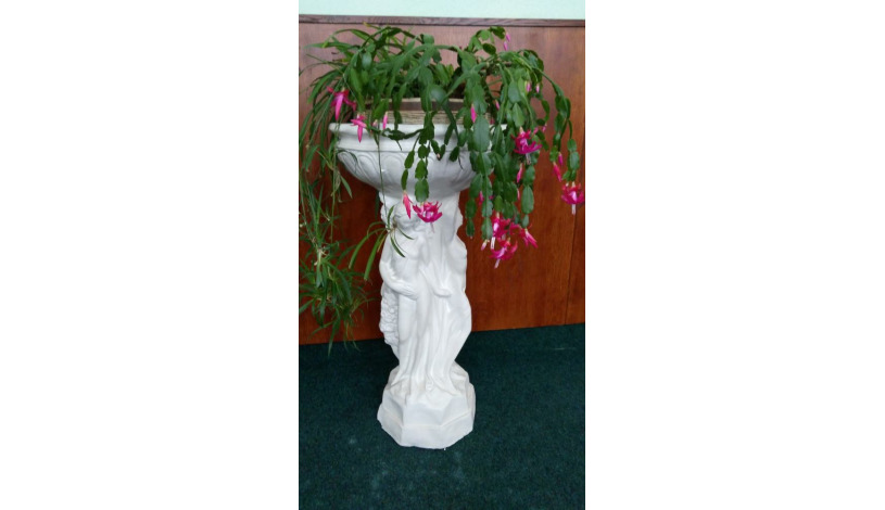 Hotel Enzian (garni) Železná Ruda